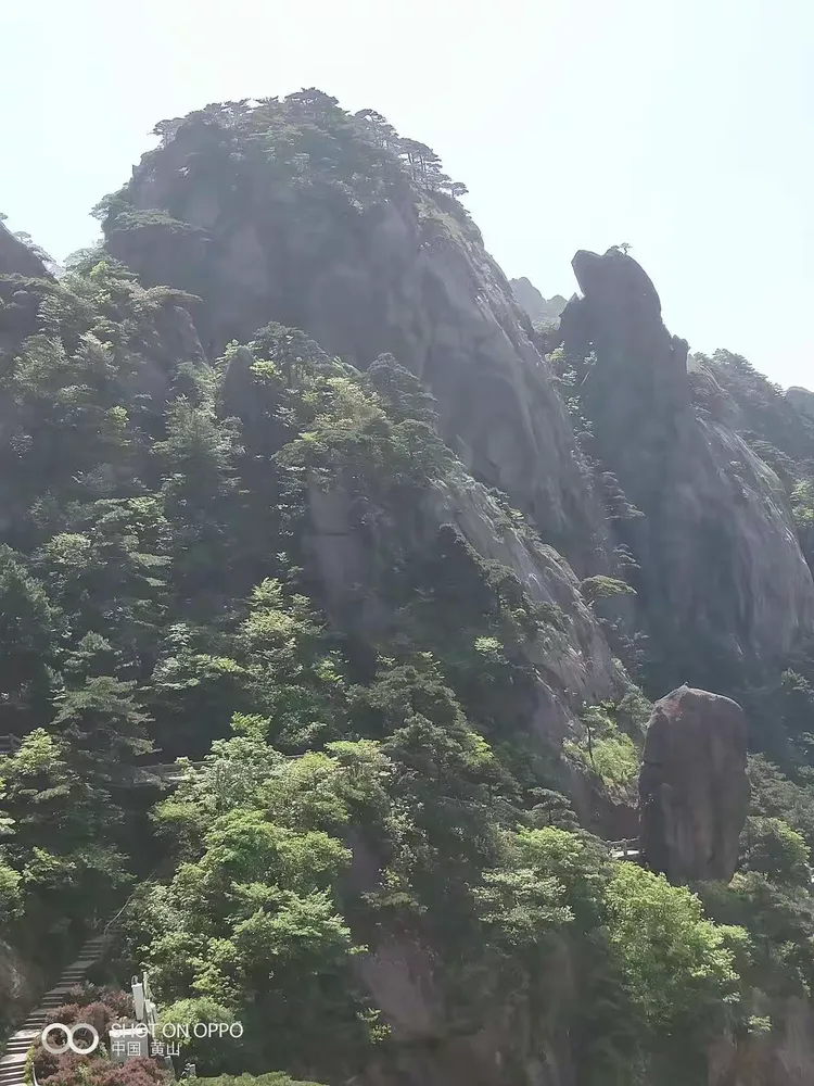 可以娱乐- 国安经典比赛回顾阻击辽小虎 